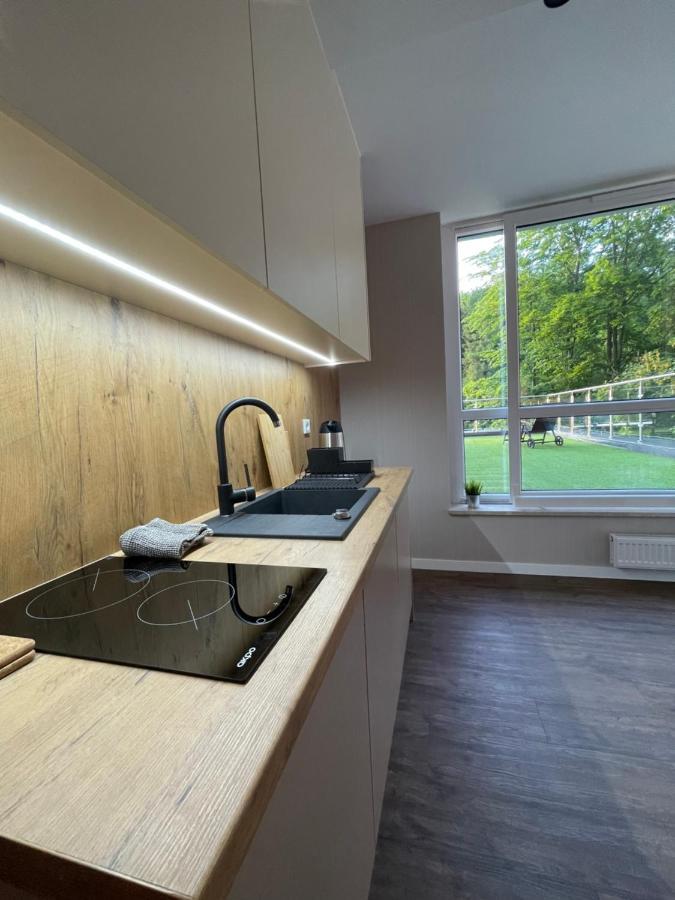 Apartament Kurort Kozubnik - Taras nad Potokiem Porabka Bagian luar foto