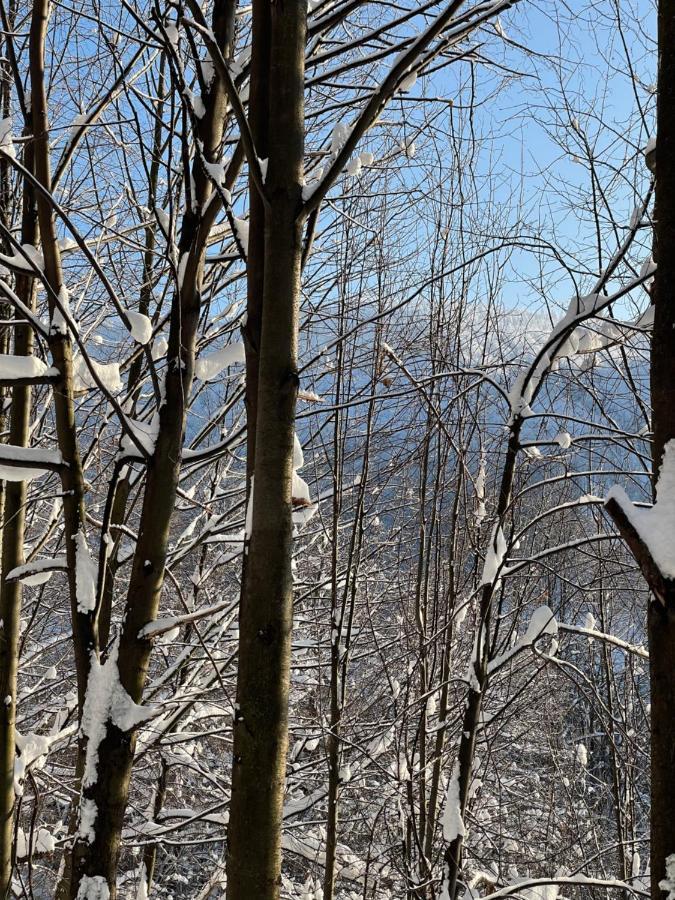 Apartament Kurort Kozubnik - Taras nad Potokiem Porabka Bagian luar foto