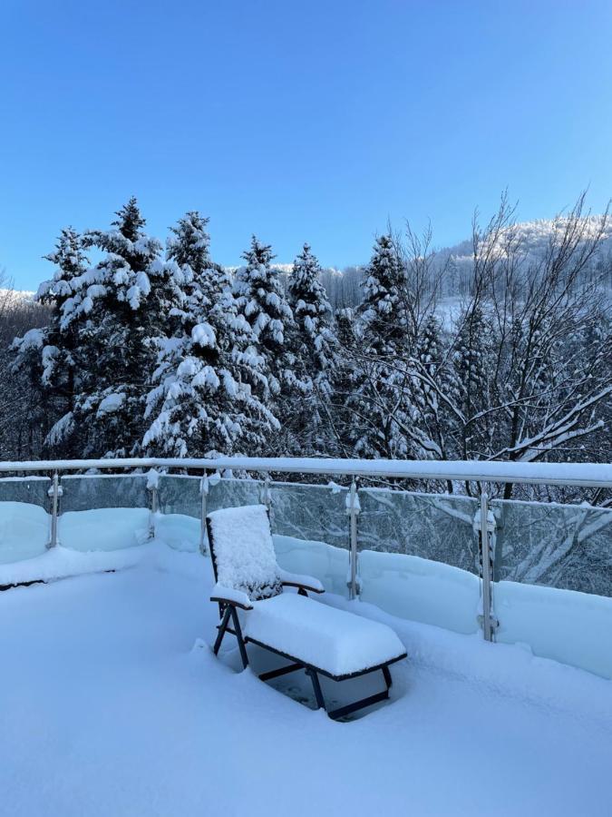 Apartament Kurort Kozubnik - Taras nad Potokiem Porabka Bagian luar foto