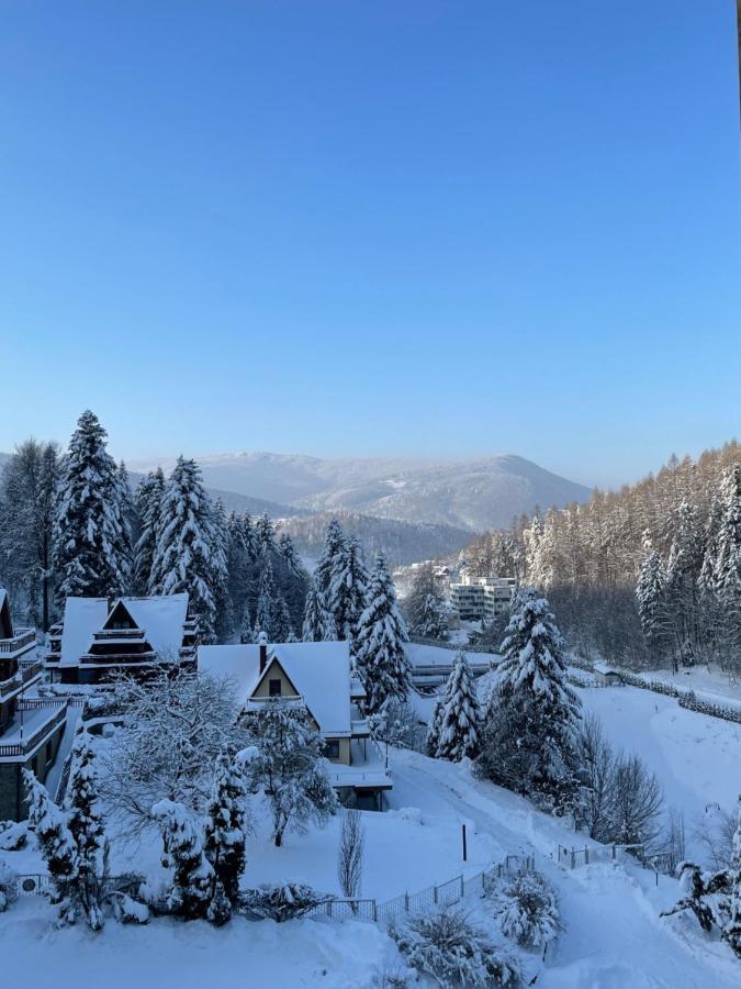 Apartament Kurort Kozubnik - Taras nad Potokiem Porabka Bagian luar foto