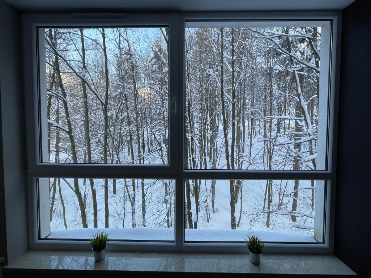 Apartament Kurort Kozubnik - Taras nad Potokiem Porabka Bagian luar foto